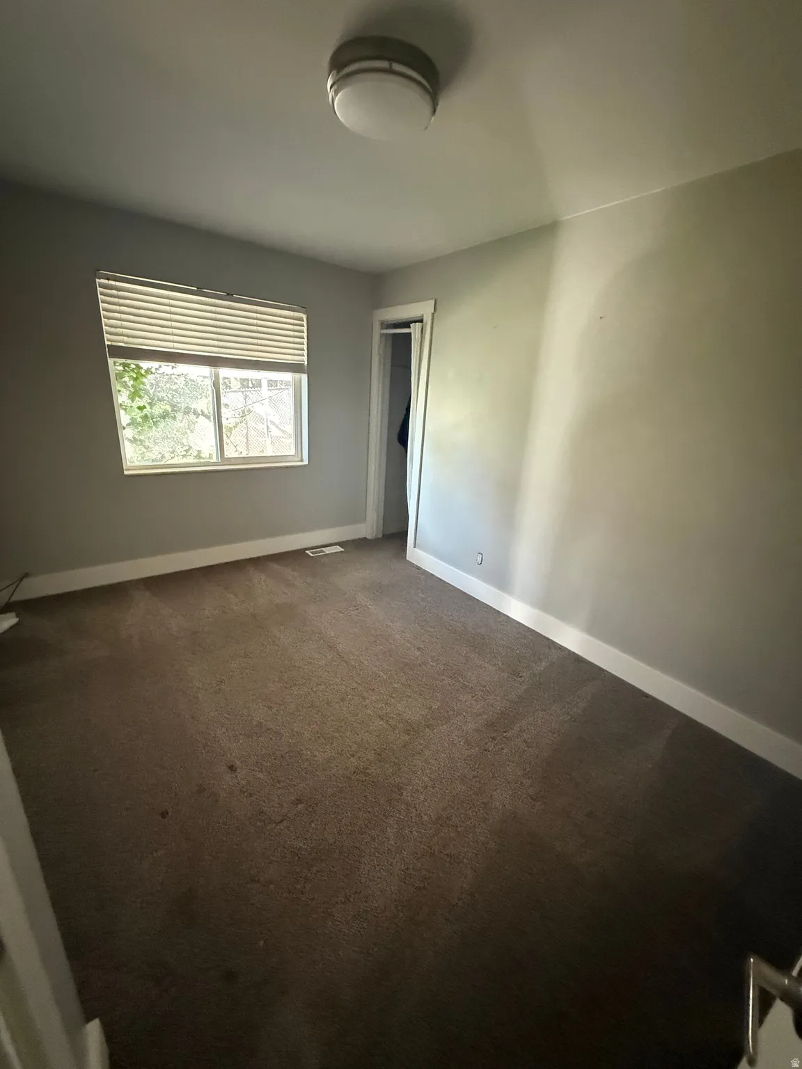 Wall-to-wall carpeting and a ceiling-mounted light fixture