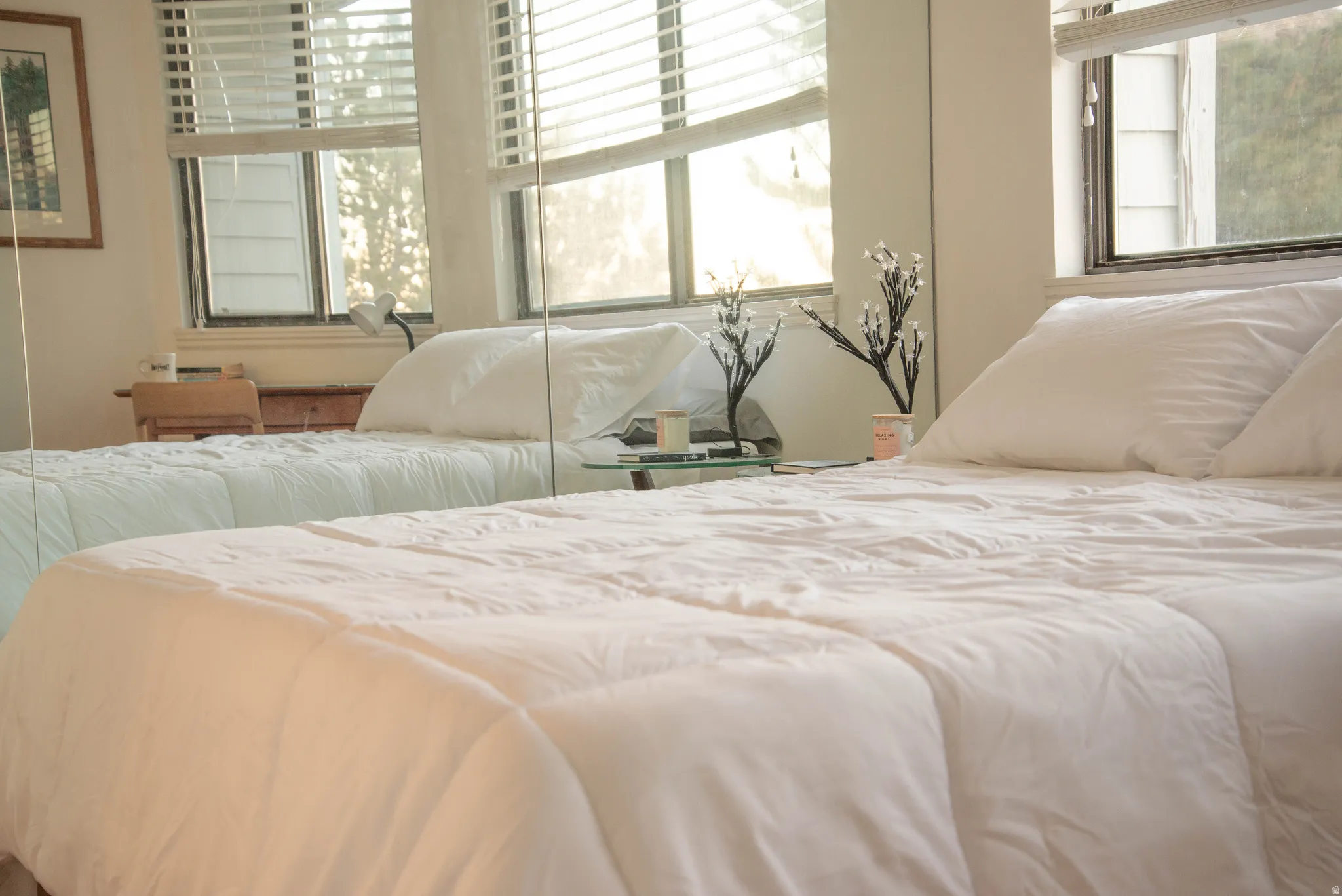 Bedroom featuring multiple windows with horizontal blinds, a mirrored wall, and a light-colored wall finish