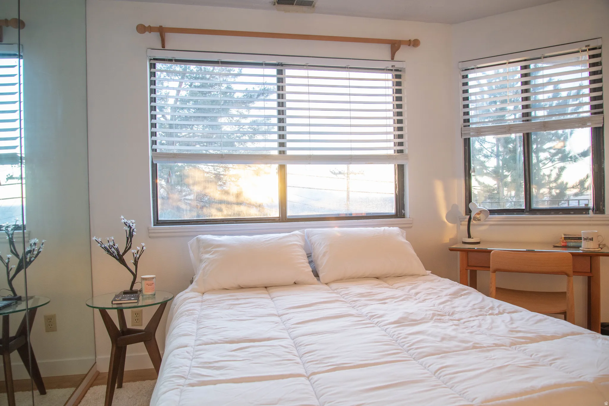 Bedroom featuring twin windows with horizontal blinds, built-in mirror paneling, and light wood-finish flooring