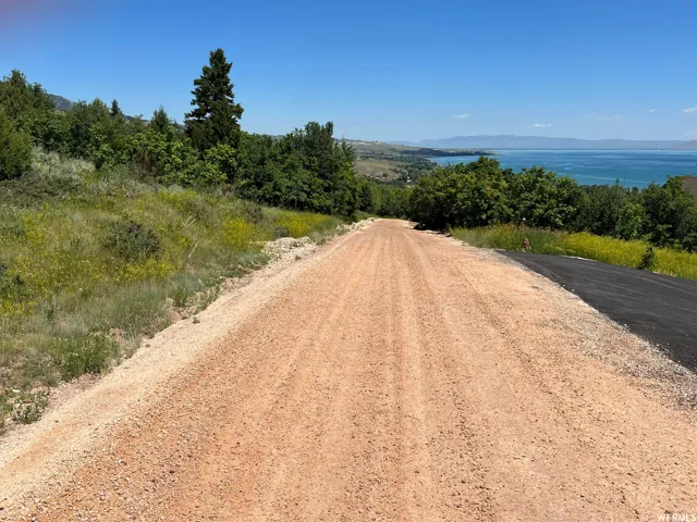 Gravel road with a partial asphalt edge, surrounded by natural landscaping and lush green foliage, leading towards a substantial body of water with distant mountains