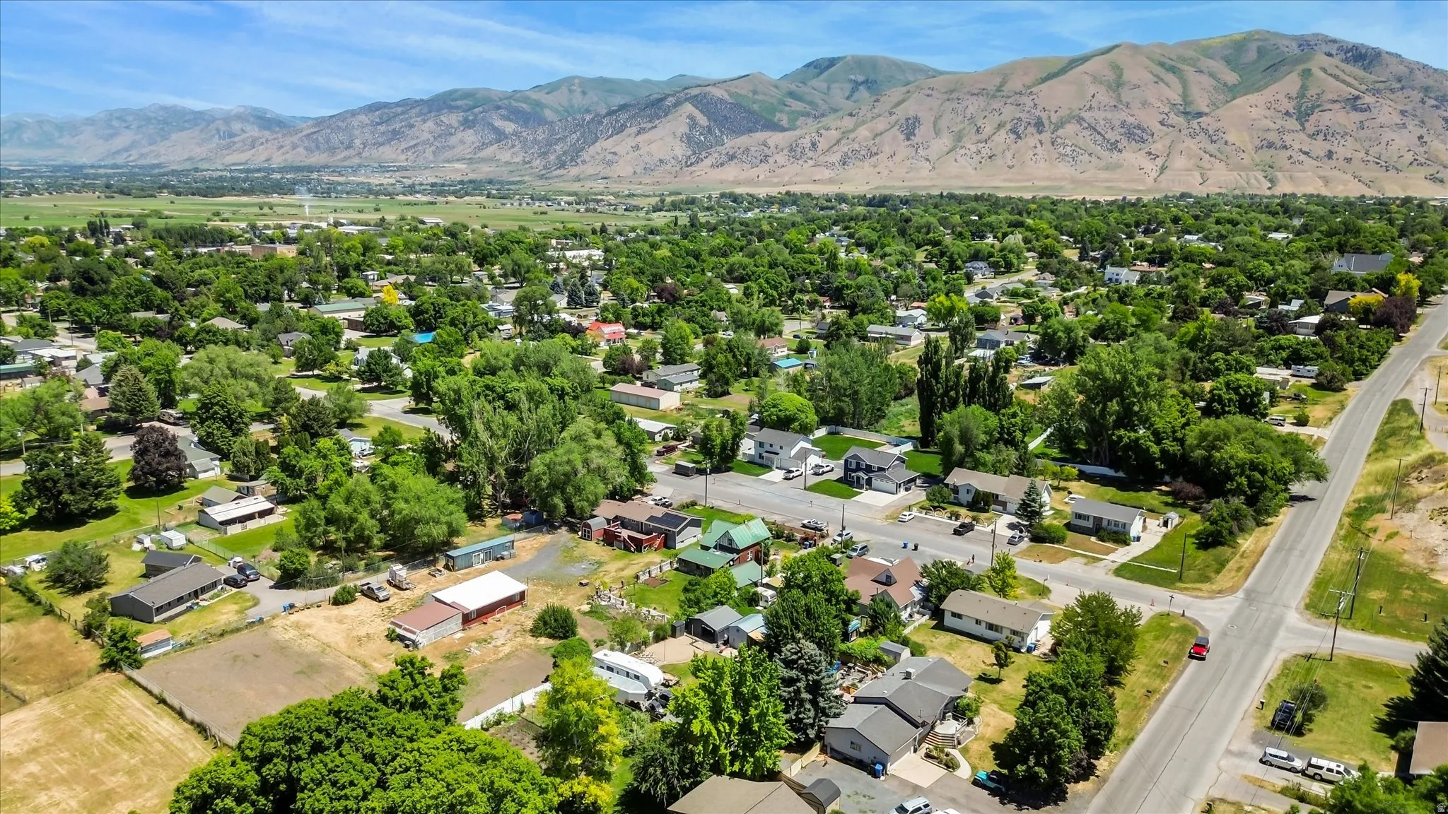 Expansive aerial perspective showcasing a residential community with mature trees and a prominent mountainous backdrop