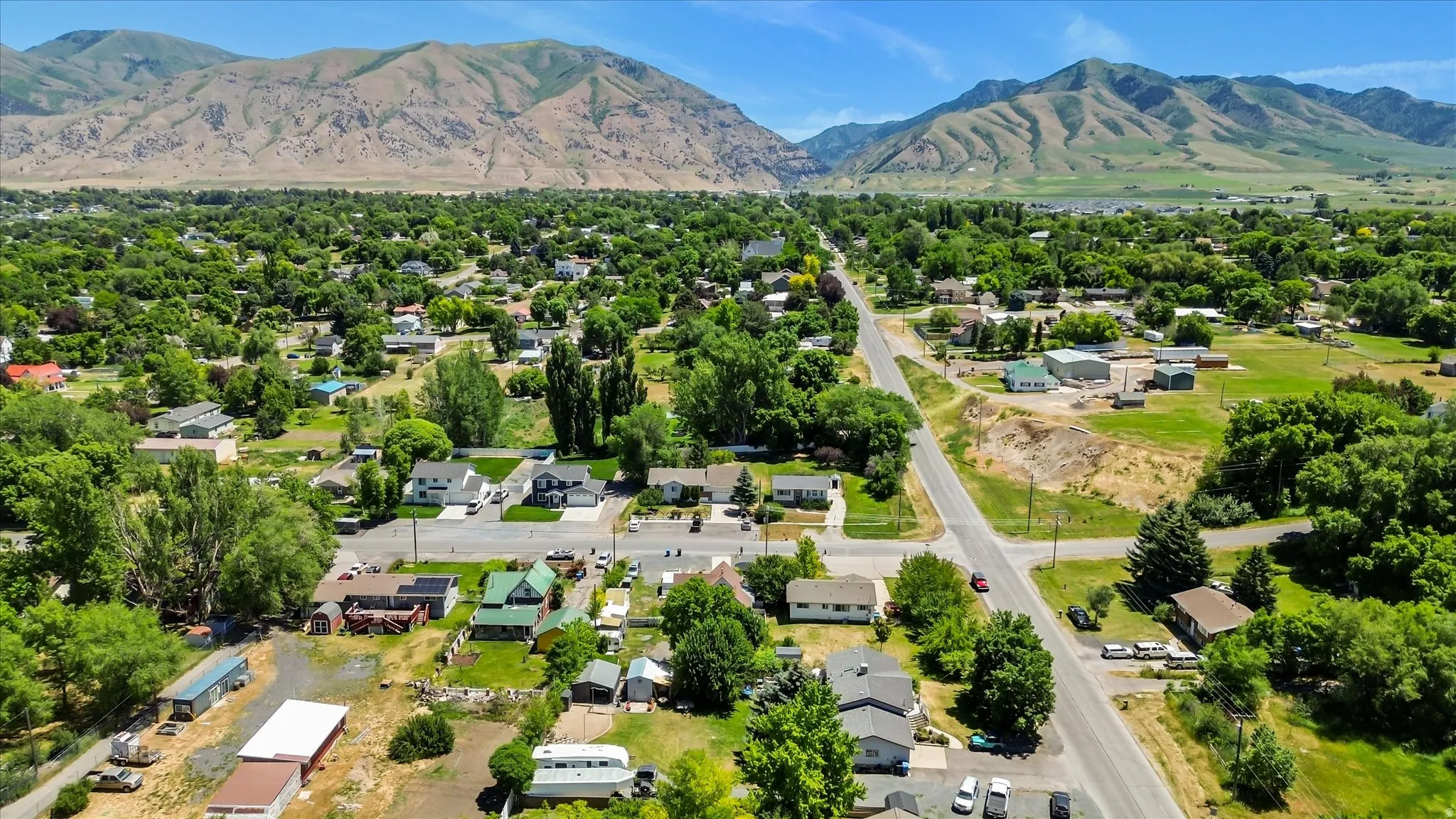 Expansive neighborhood with mature trees and visible mountain backdrops