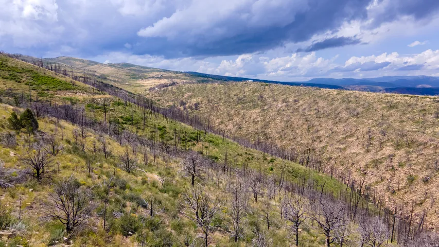 Expansive mountainous terrain featuring varied vegetation, including areas of new green growth and mature trees