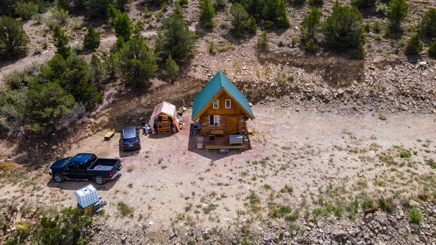 Log cabin structure with a vibrant green roof and a surrounding natural landscape