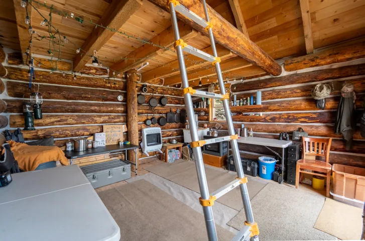 Wood-paneled ceiling with exposed wood beams, featuring log walls