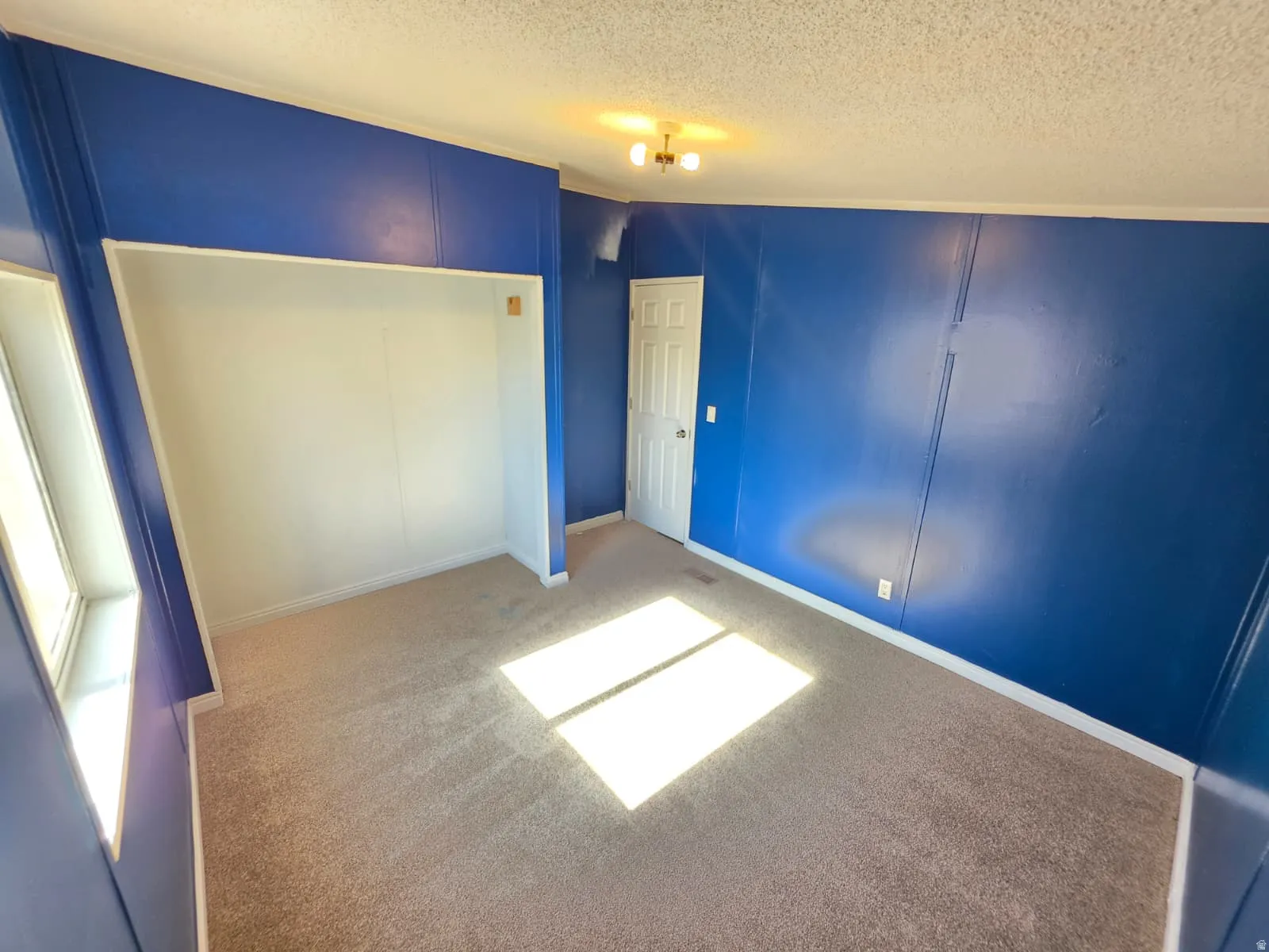 Carpeted room featuring a built-in open closet, white trim, and a ceiling-mounted light fixture