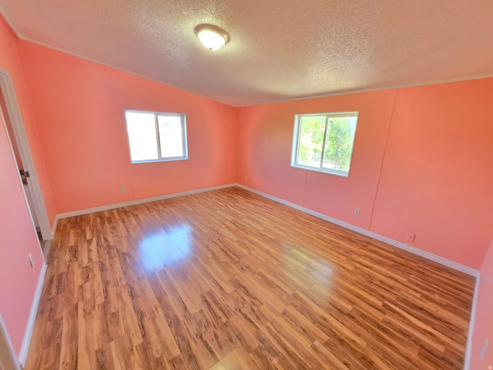Spacious interior room featuring wood-finish flooring, two windows, and a ceiling-mounted light fixture