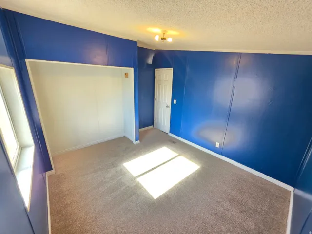 Carpeted room featuring a built-in open closet, white trim, and a ceiling-mounted light fixture