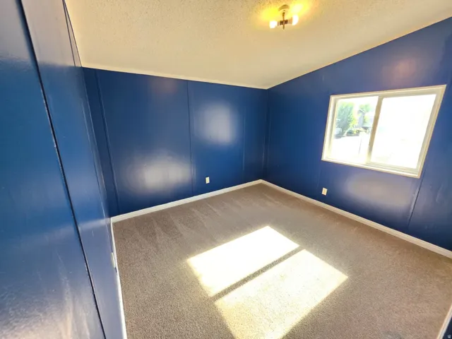 Room featuring blue paneled walls, light-colored carpeting, a white trim baseboard, and a double-pane window