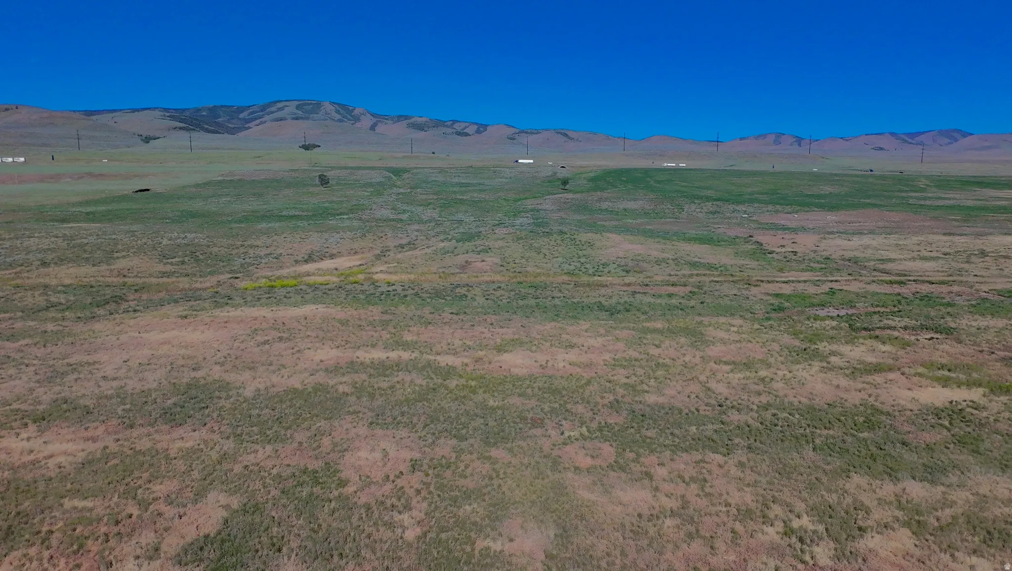Expansive open land featuring natural grasses and rolling terrain