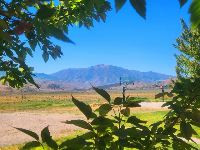 21325 S Hwy 89, Birdseye, Utah 84629