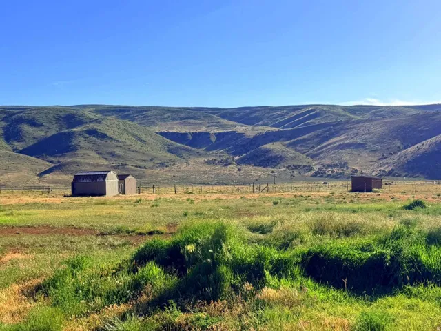 21325 S Hwy 89, Birdseye, Utah 84629