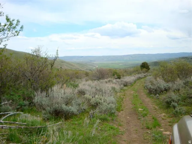 Unpaved pathway traversing a sloped landscape with varied shrubbery