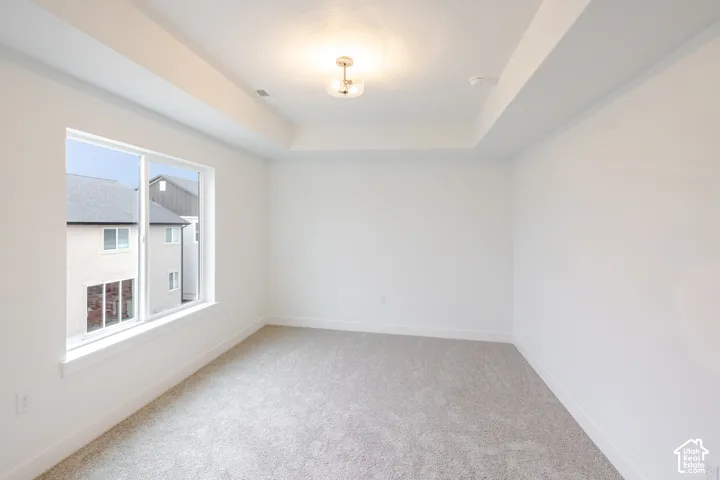Room featuring a tray ceiling, wall-to-wall carpeting, large picture window, and a central flush-mount light fixture