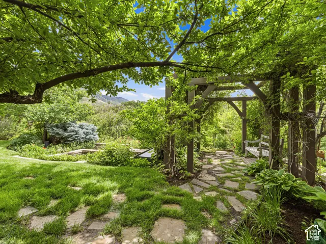 Landscaped yard featuring a stone pathway, a wooden pergola with climbing vines, and mature trees providing natural canopy