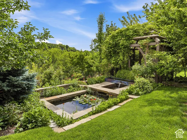 Expansive backyard featuring a multi-tiered water feature with a koi pond, surrounding stone coping, a cascading water element, a wooden pergola covered in climbing foliage, and a lush green lawn