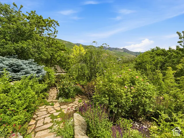 Stone pathway surrounded by varied plantings and mature trees