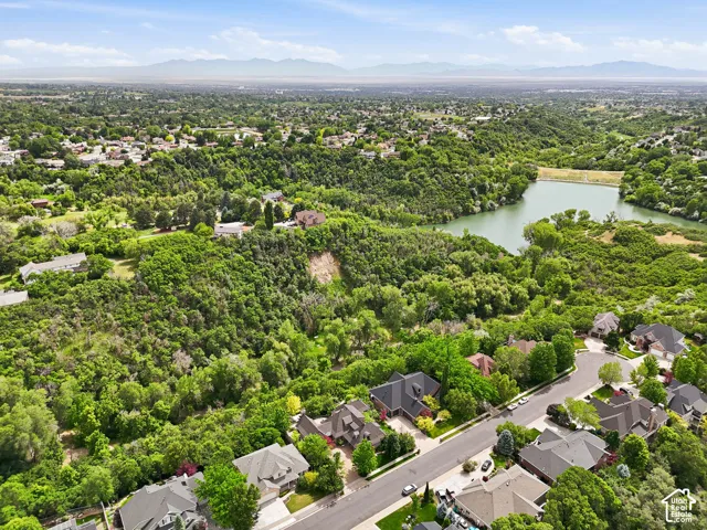 Aerial overview of a residential area featuring a prominent lake surrounded by dense green foliage