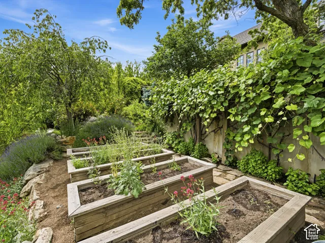 Terraced garden featuring multiple raised wood planters, stone pathway, vine-covered wall, and mature trees