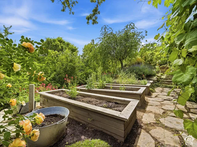 Terraced garden featuring multiple raised planter beds, a natural stone pathway, mature trees, and established flowering plants