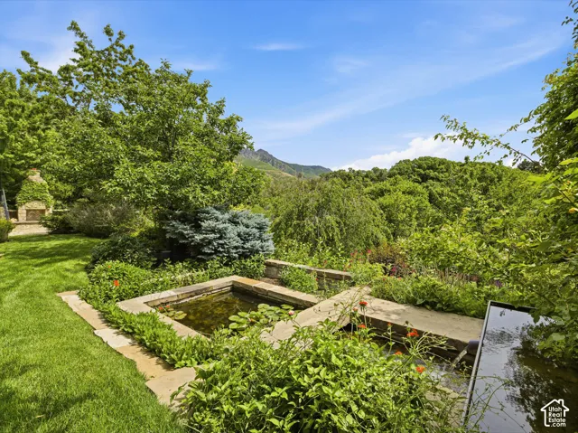 Expansive outdoor space featuring a stone-lined pond with water lilies, a complementary water feature, and lush landscaping