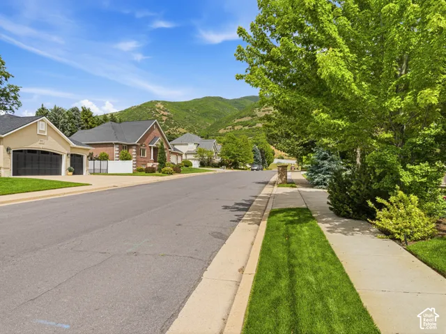 Residential street featuring varied architectural styles, mature trees, manicured lawns, and mountain scenery