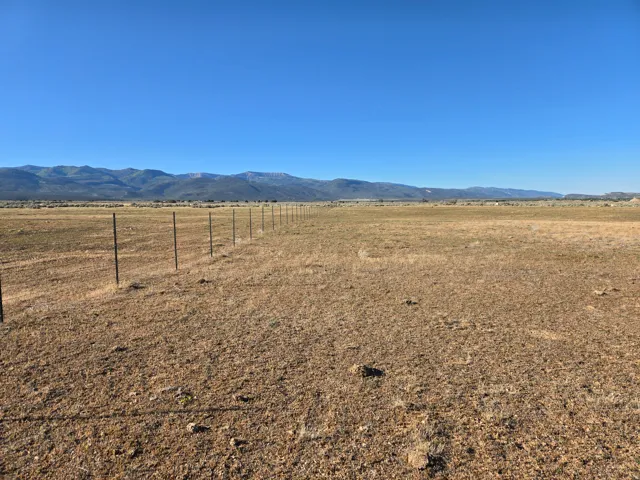 Looking south