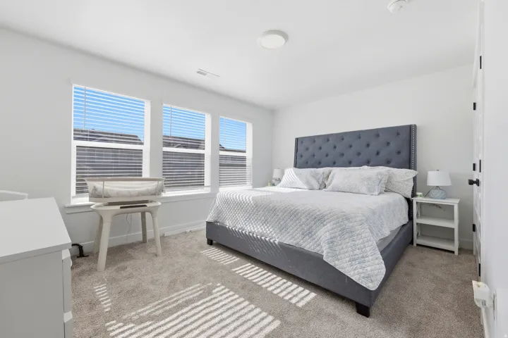 Bright bedroom featuring plush carpeting and a neutral color palette