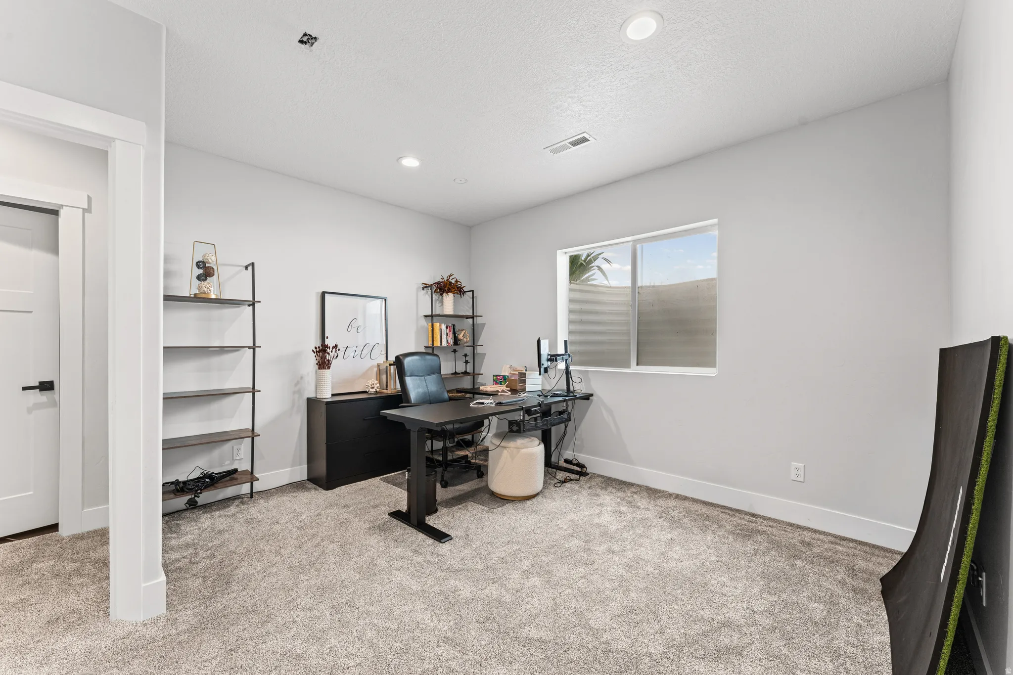 Neutral-toned room featuring light gray carpeting and white walls
