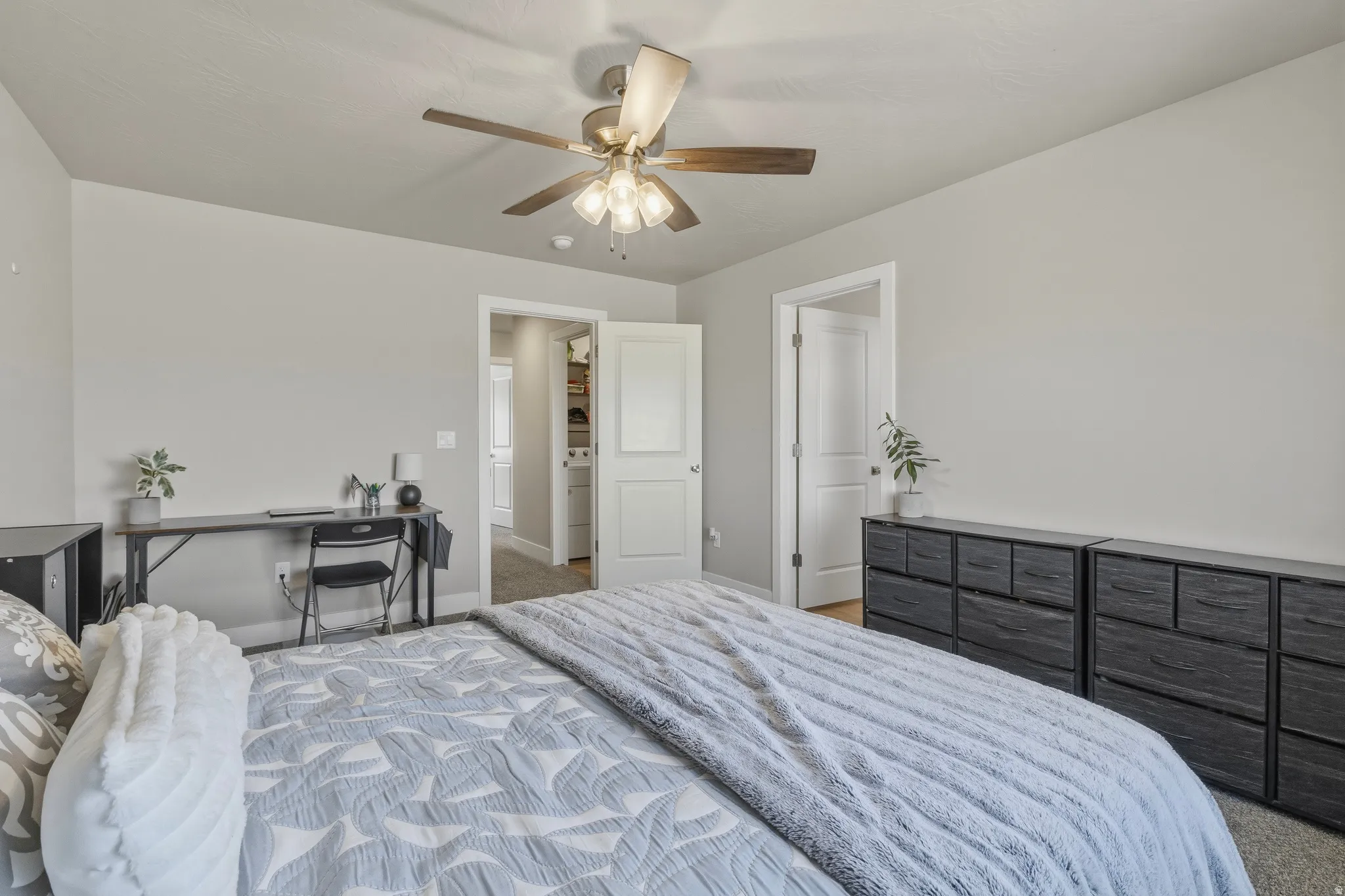 Carpeted room featuring light gray walls, a ceiling fan with integrated lighting, and white trim