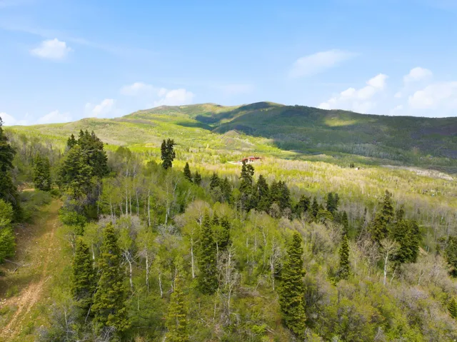 Expansive mountain landscape featuring varied evergreen and deciduous trees