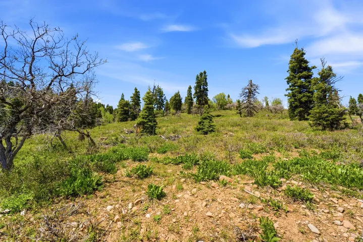 Expansive natural landscape featuring varied terrain and diverse vegetation