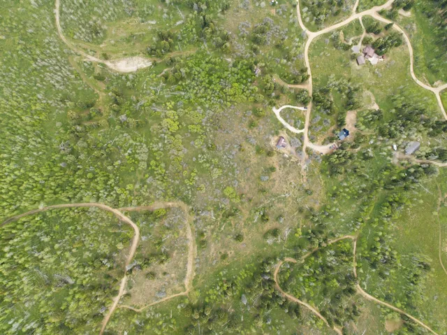 Expansive landscape featuring verdant foliage, numerous mature trees, and winding dirt paths