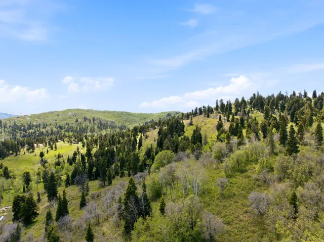 Expansive mountainous terrain featuring diverse evergreen and deciduous trees