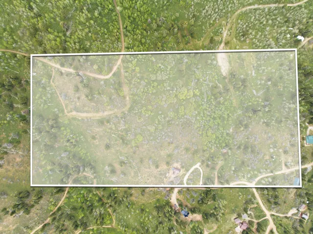 Rectangular parcel featuring varied terrain and natural vegetation, including mature trees and open grassy areas
