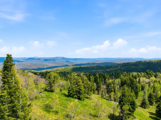 Expansive natural landscape with a lush forest, rolling hills, and distant mountains under a clear sky