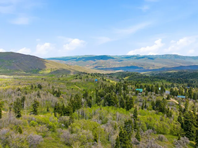 Expansive mountainous landscape with varied tree coverage