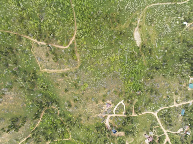 Expansive aerial landscape featuring a mix of evergreen and deciduous trees, natural clearings, and visible unpaved paths