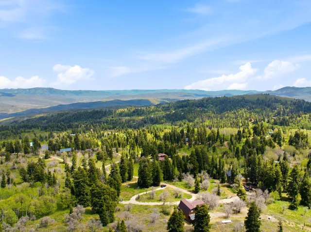 Expansive mountain landscape featuring abundant evergreen trees and distant mountain ranges