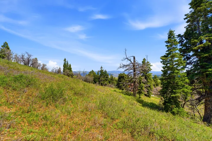Grassy hillside with scattered evergreen trees and distant mountain ranges
