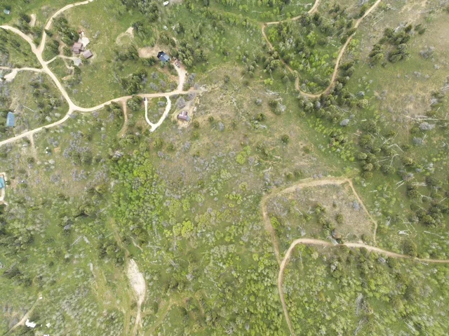 Expansive, verdant landscape featuring varied topography with clusters of mature trees and distinct clearings