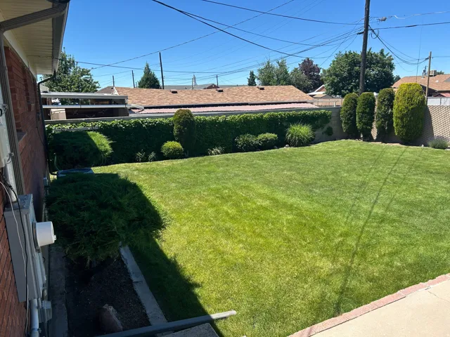 Yard