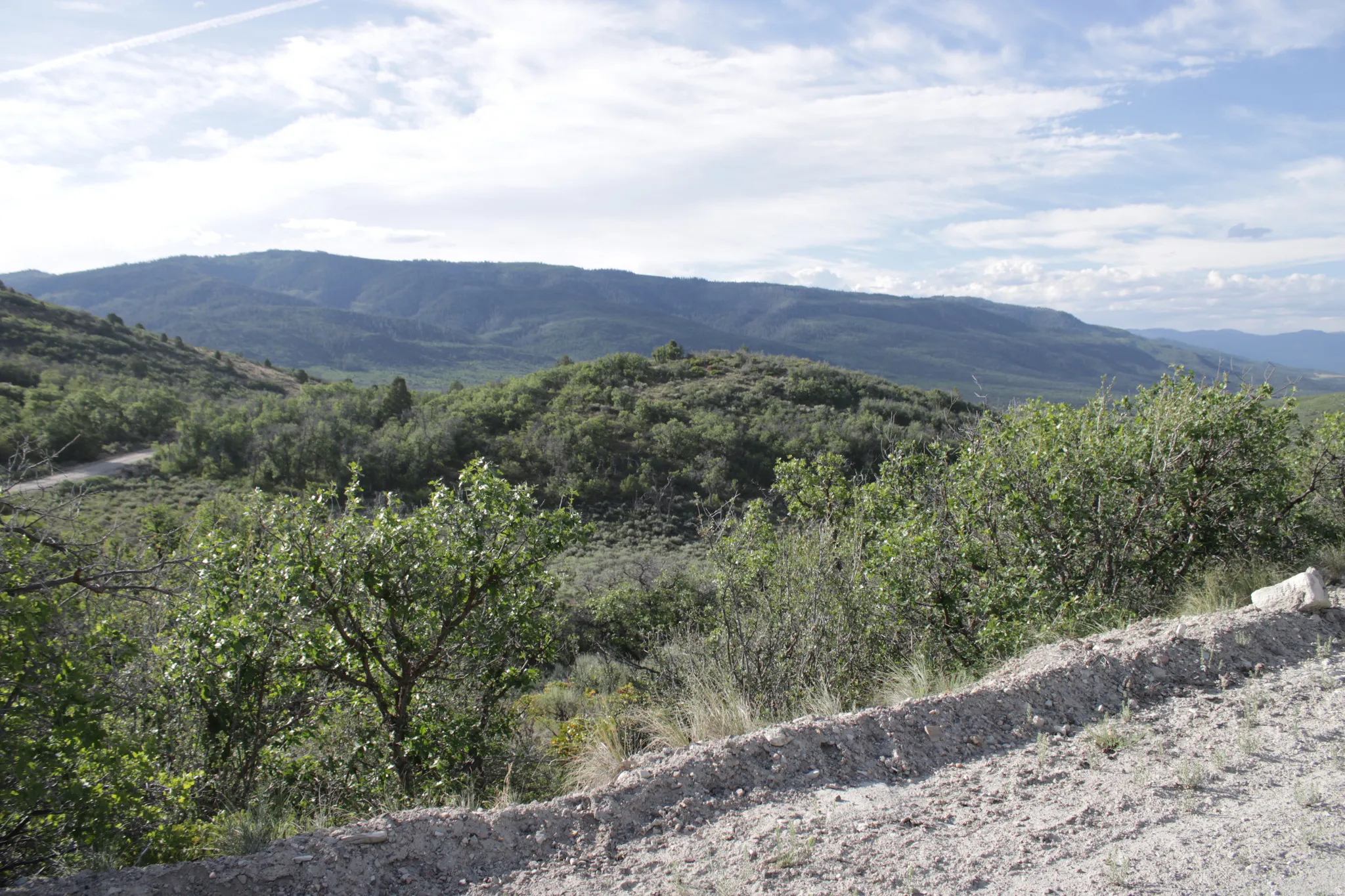Rolling hills covered with dense tree canopy under a partially clouded sky