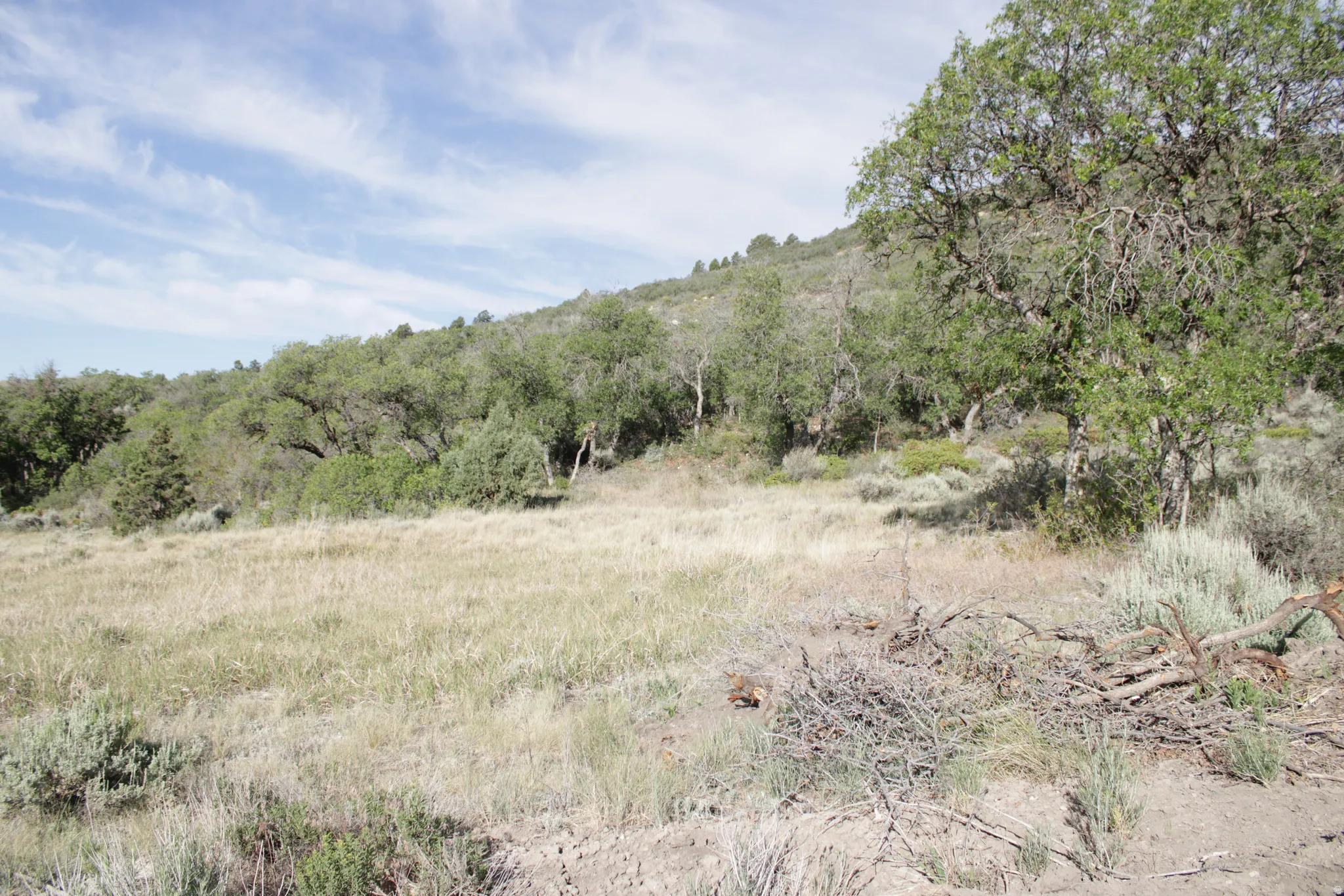 Expansive hillside property featuring natural landscaping, mature trees, and varying terrain