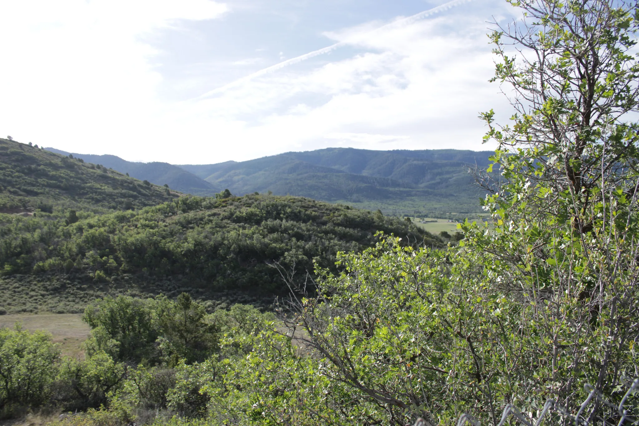 Expansive natural landscape featuring rolling hills, mature trees, and distant mountains
