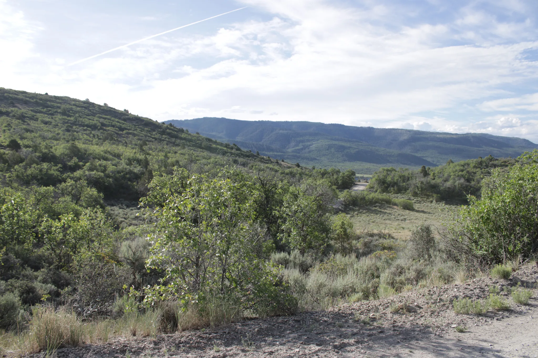 Rolling hills of natural foliage, distant mountain range, and scattered shrubbery
