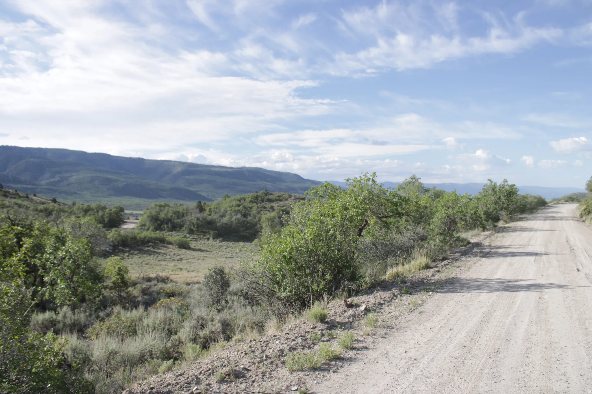 Expansive natural landscape featuring a dirt road, distant mountains, and varied green foliage