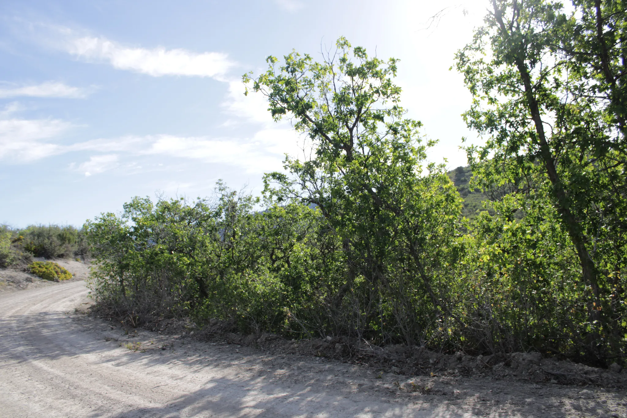 Dirt road bordering natural vegetation and distant hills under a partly cloudy sky