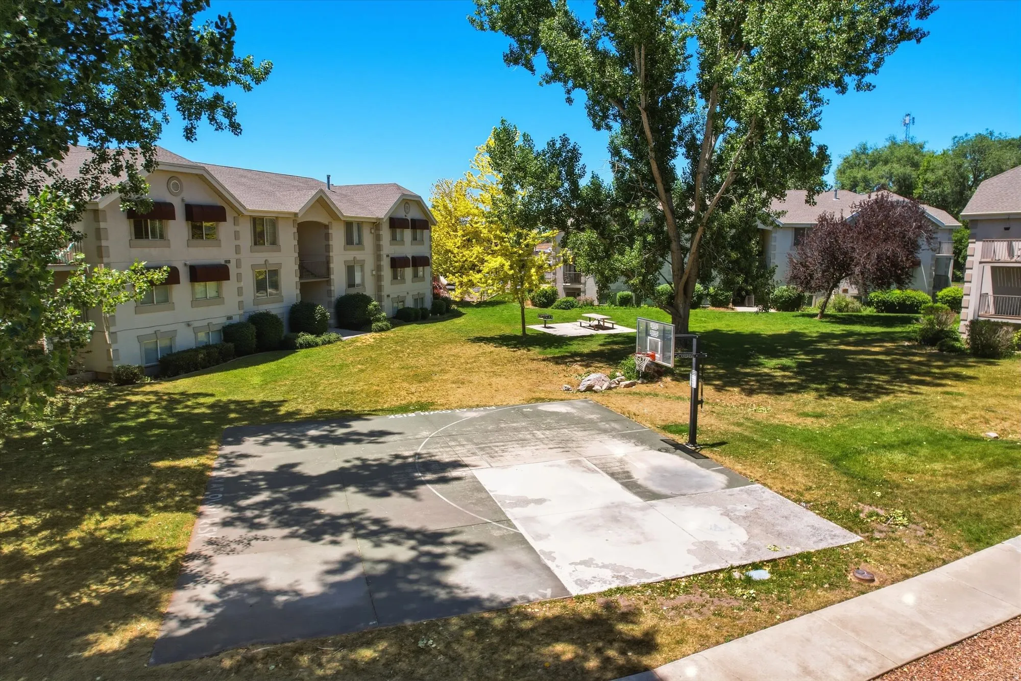Community area featuring a basketball half-court, picnic tables, and mature trees amidst green landscaping