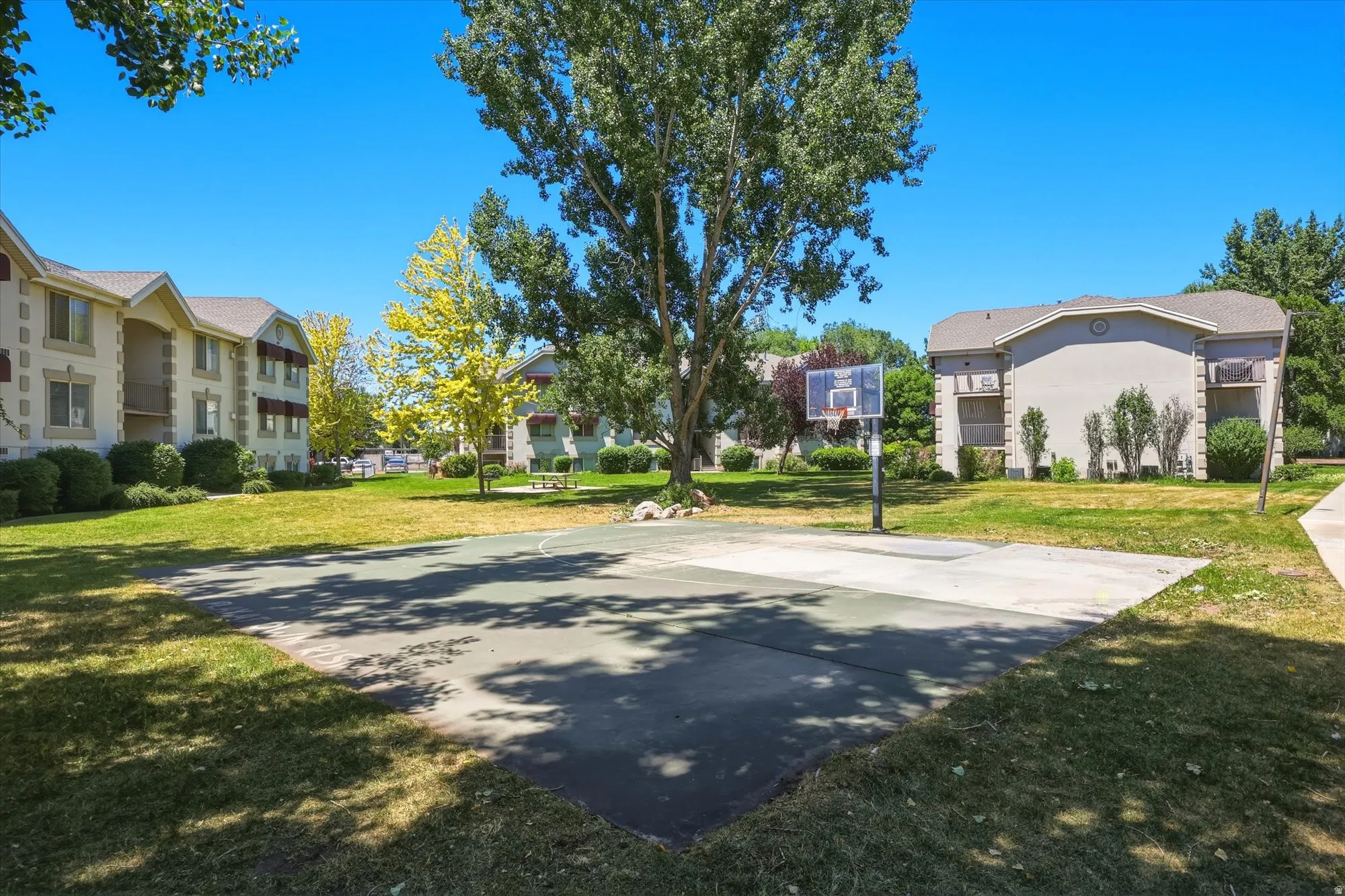 Outdoor basketball court with a fixed hoop and backboard, surrounded by mature trees and manicured lawns